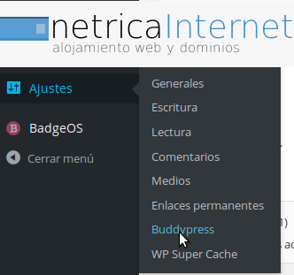 buddypress2