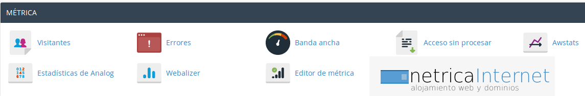 estadisticasvisitas1