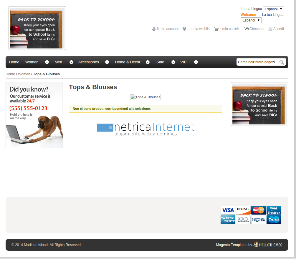 instalar-tema-magento-imagen7