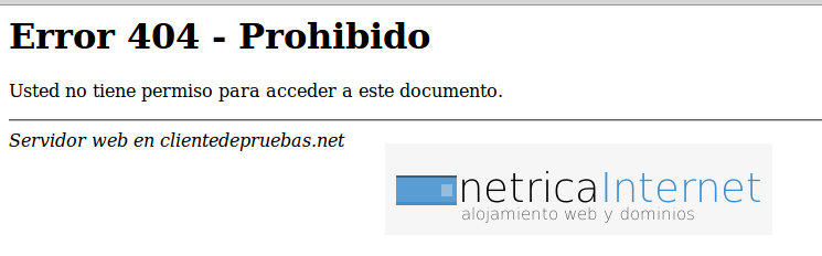 paginaserror5